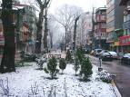 izmit �i�ek sipari�i  izmit resmi
