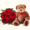 Kocaeli �i�ek�i  5 adet g�l ve pelu� oyuncak