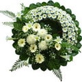�i�ek�i d�kkan�m�z�n en g�rsel �r�n� cenazeye �i�ek �eleng modeli izmite �i�ek sat���