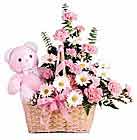 sepet i�erisinde k�r �i�ekleri oyuncakl� Kocaeli i�in �zel �i�ekler  