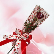 kocaeli ucuz �i�ek sitemizden  masumane tek k�zm�z� g�l