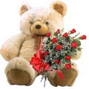 �i�ek yollama sitemizden  9 adet g�l ve orta boy ay�c�k