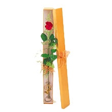 1 adet k�pk�rm�z� g�l kutusu �i�ek yollama sitemizden 