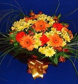 G�zel �i�ekler  mevsim �i�eklerinden k�r demeti