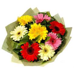 �i�ek yolla �r�n�  Kar���k renkte gerbera �i�ekleri