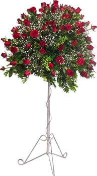 mevsimsel perf�rje �i�e�i Kocaeli �i�ek sat��� 