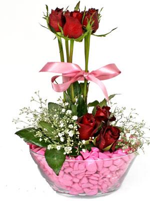 Sizin �i�ek�inizden  Camda k�rm�z� g�ller izmite �i�ek sat���