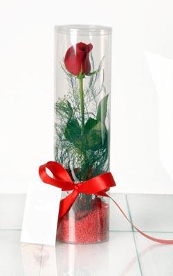 Kutu i�inde 1 adet k�rm�z� g�l �zmit �ehrine �i�ek yolla