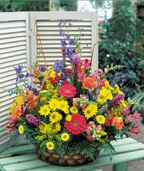 Kocaeli �i�ek sat���  �zel Kar���k mevsim sepeti �i�e�i izmite �i�ek sat���