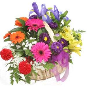 Kocaeli  deki �i�ek�iler Kar���k mevsim sepeti �i�e�i izmite �i�ek sat���