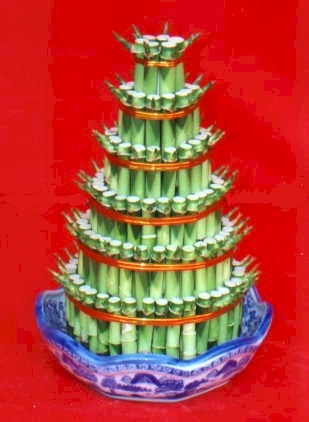 izmit �i�ek�i sitemizden  Lucky Bamboo �ans mele�i �i�e�i bambu �i�e�i