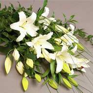 uluslararas� �i�ek�iden  kazablanka buketi �i�e�i