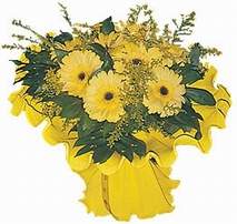 Sevilenlere �zel �i�ekler  taze gerbera k�r �i�ekleri demeti