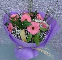 taze gerbera k�r �i�ekleri demeti kocaeline �i�ek g�nderimi  