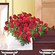 �elenk cenazeye �i�ek sipari�i cenaze �i�e�i Sizin �i�ek�inizden 